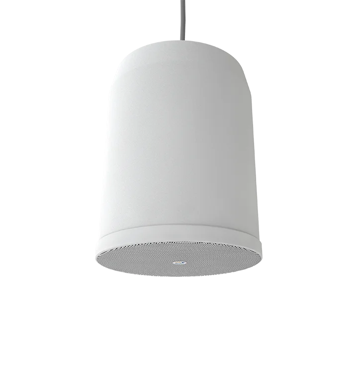 SCP-20 Громкоговоритель потолочный на подвесе