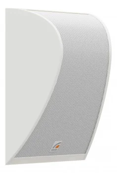 LS-06WT Громкоговоритель настенный