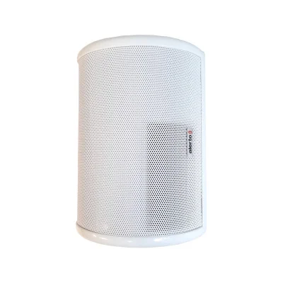 ALERTO AWS-06 Громкоговоритель настенный 