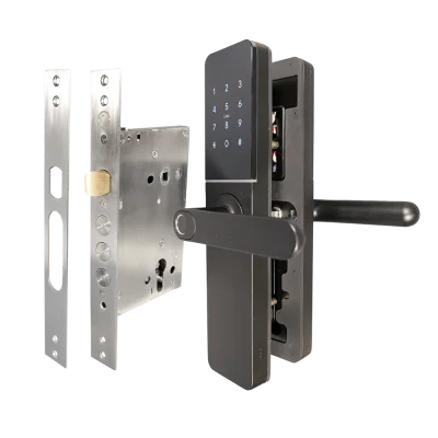 Rigel комплект электронного замка