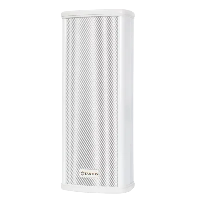 TSo-KW10 Звуковая колонна настенная