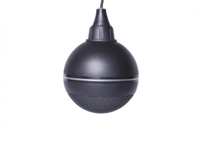 Глагол ПШ-10 (черный) оповещатель речевой потолочный 