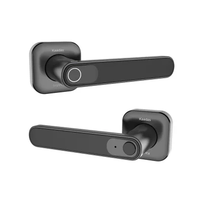 Kaadas LH01 Электронный замок-ручка врезного типа с одноригельной системой
