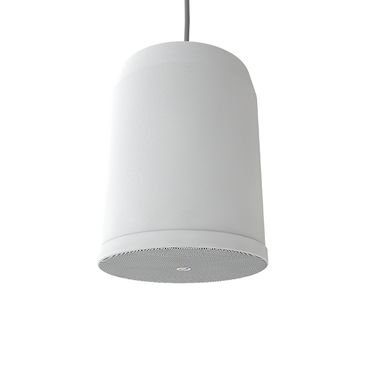 SCP-20 Громкоговоритель потолочный на подвесе