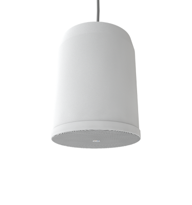 SCP-20 Громкоговоритель потолочный на подвесе