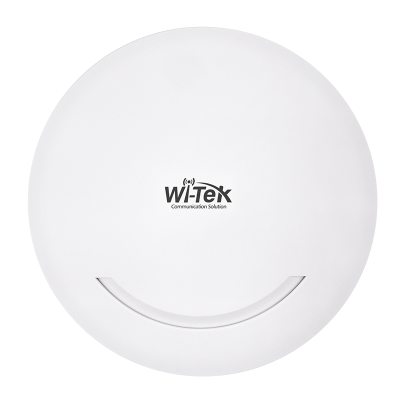 WI-AP210-Lite Точка доступа c поддержкой PoE